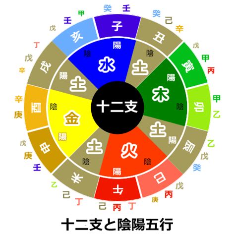 八字陰|八字基礎教學,陰陽,五行,干支,廿四節氣（20分鐘了解）